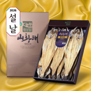 횡성맑,6만원대 구정 선물세트, 황태포 10미(44~46cm), 2026년 최신 제품